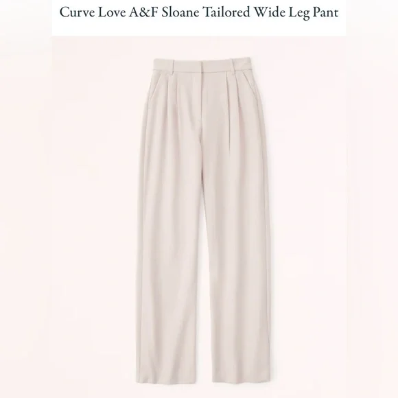 Abercrombie & Fitch Curve love Sloan pants - Picture 9 of 13